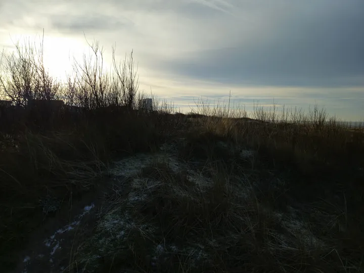 Oostnieuwkerke duinen wandeling in de koude (België)